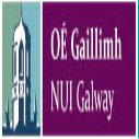 College of Science and Engineering Scholarships for South American Students in Ireland